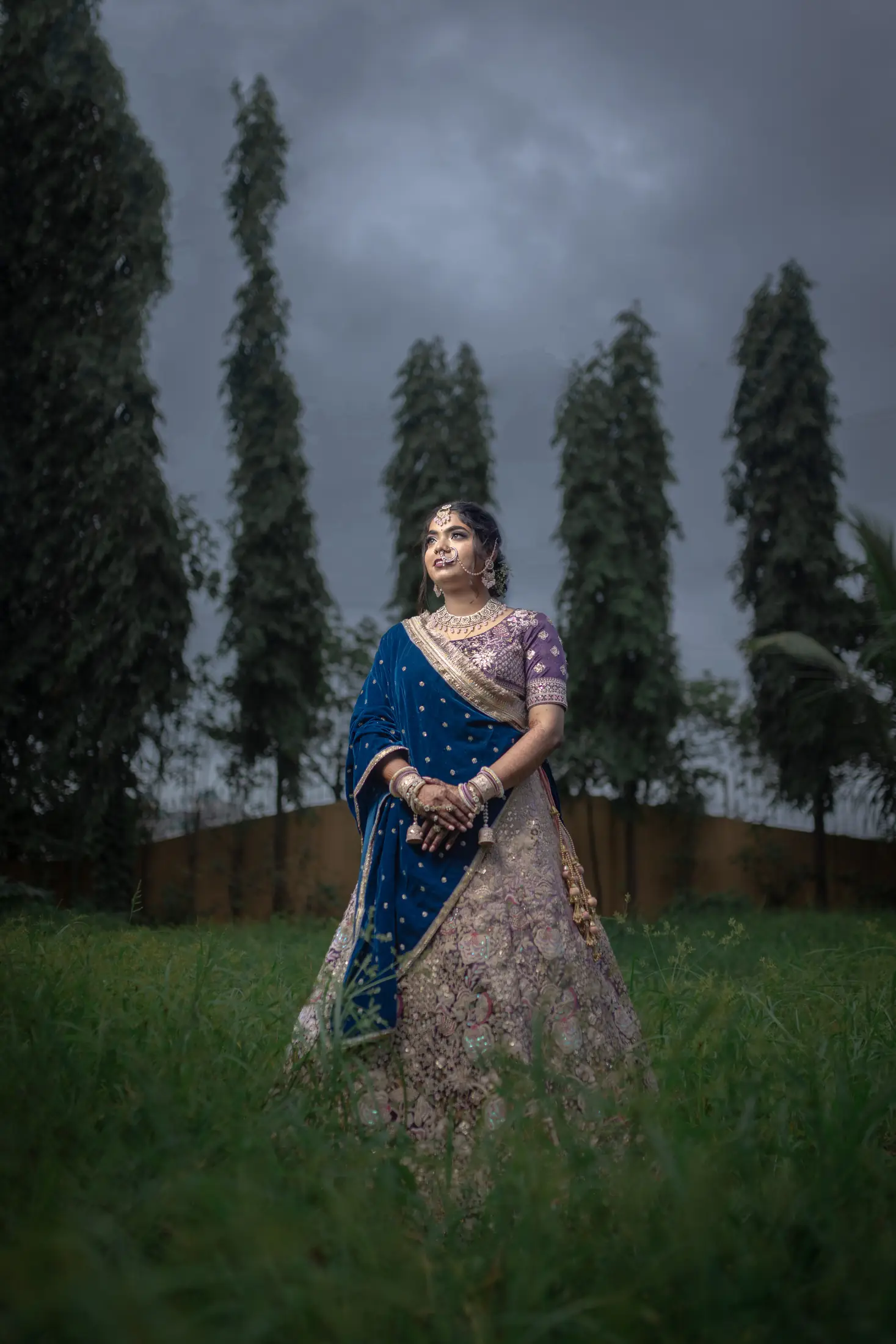 Rocky and Anu wedding portrait 12