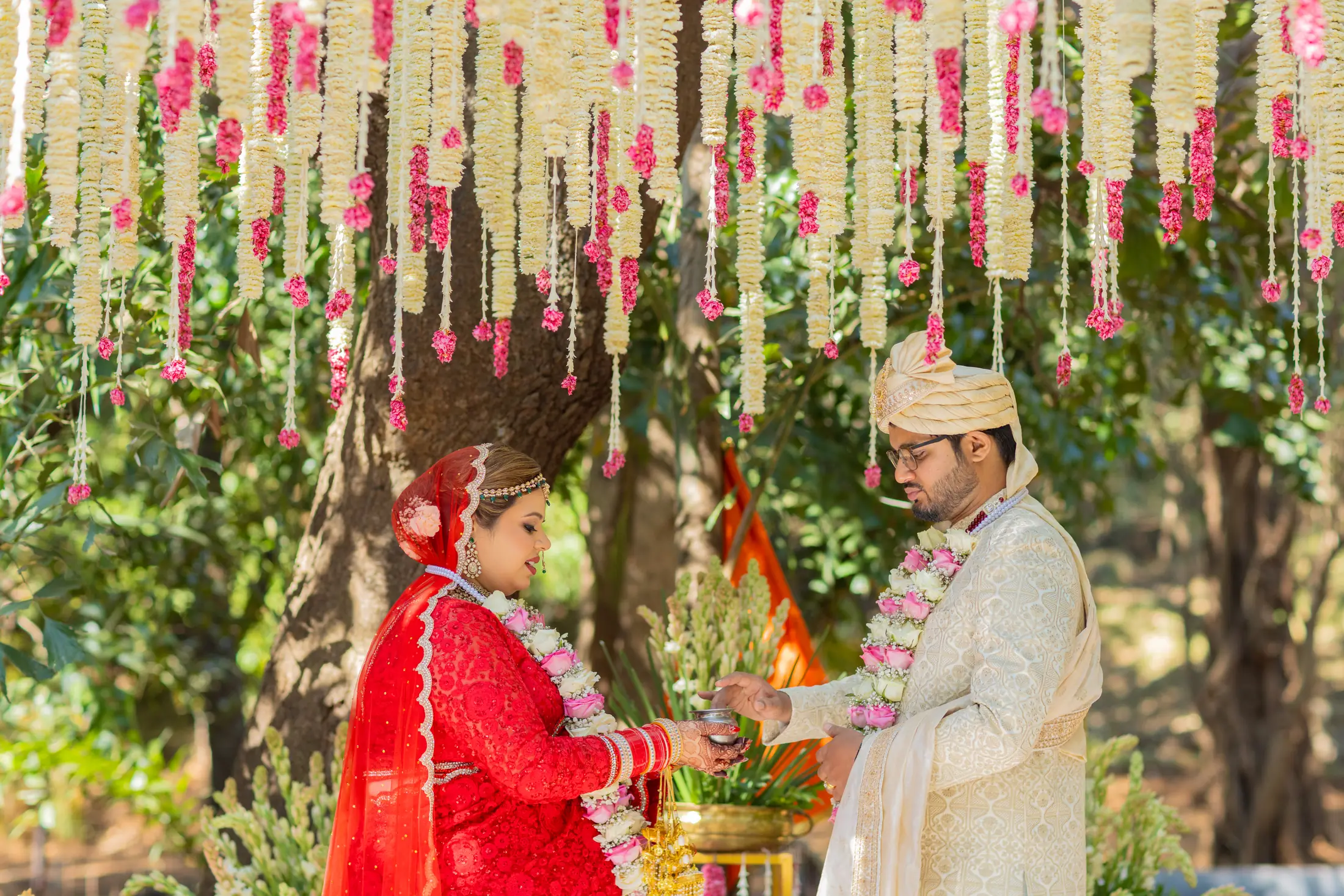 Shivangi Benson Hindu Wedding portrait 43