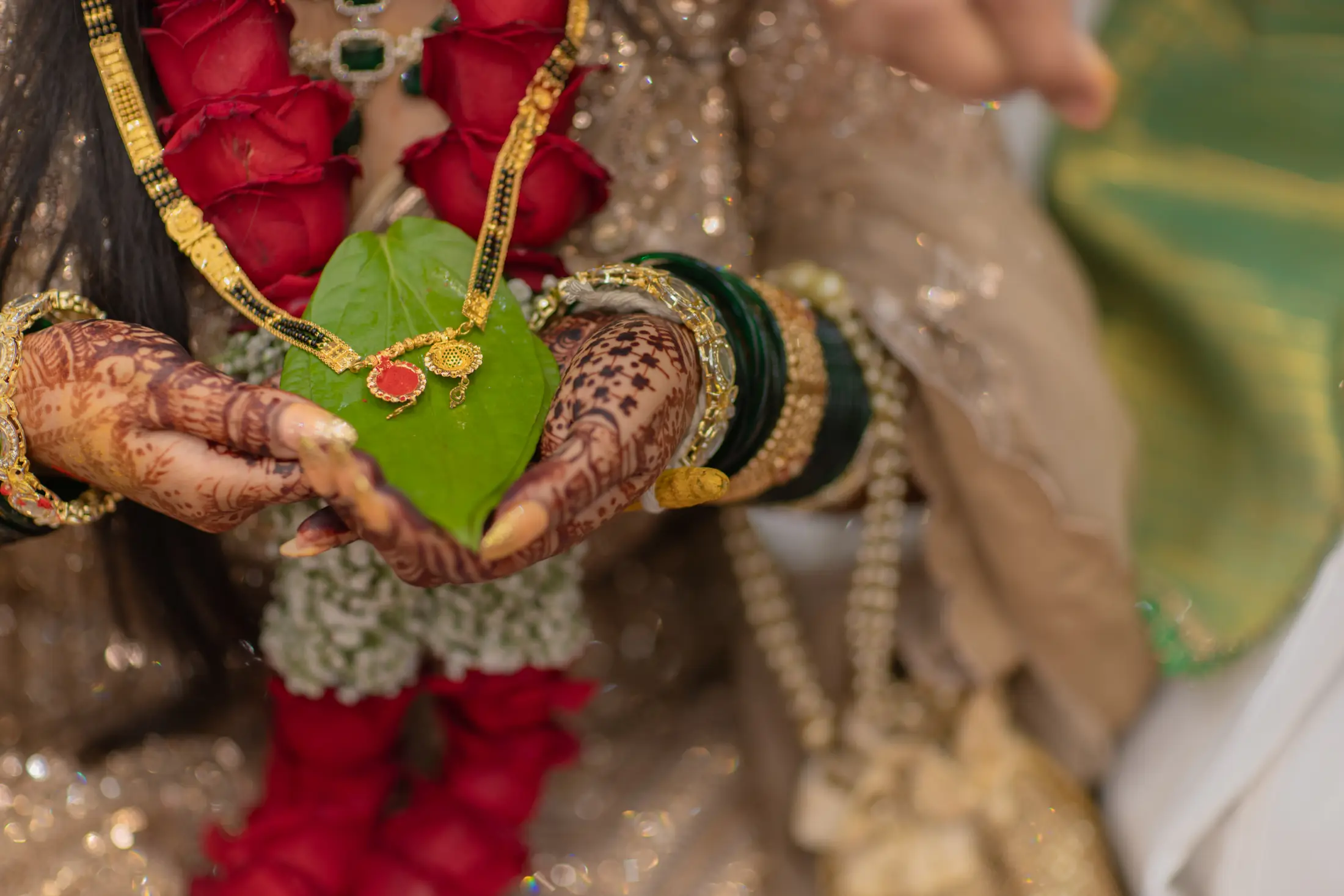 Tarun Kanchan wedding portrait 10